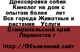 Дрессировка собак (Кинолог на дом с опытом более 10 лет) - Все города Животные и растения » Услуги   . Ставропольский край,Лермонтов г.